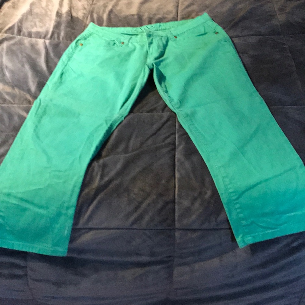 Very cute Capri pants, excellent condition.